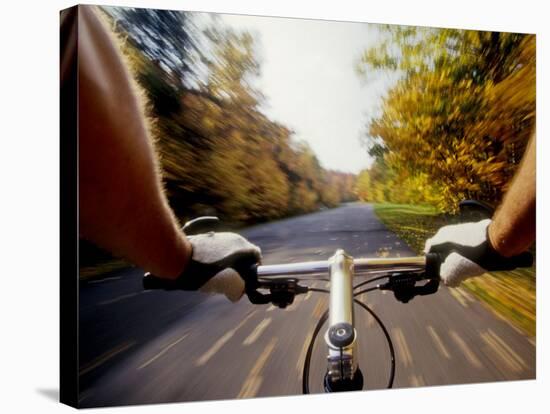 Detail of Cyclist View while Riding on the Roads-null-Stretched Canvas