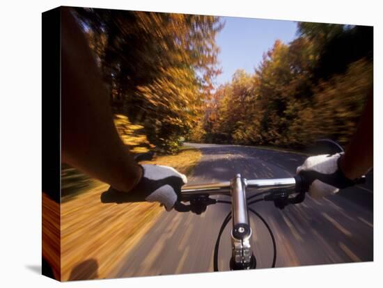 Detail of Cyclist View while Riding on the Roads-null-Stretched Canvas