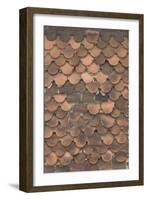 Detail of Domestic Roof Tiles-Natalie Tepper-Framed Photo