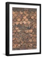 Detail of Domestic Roof Tiles-Natalie Tepper-Framed Photo