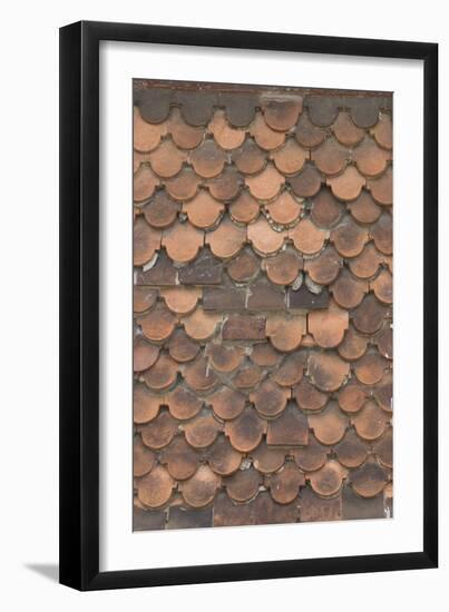 Detail of Domestic Roof Tiles-Natalie Tepper-Framed Photo