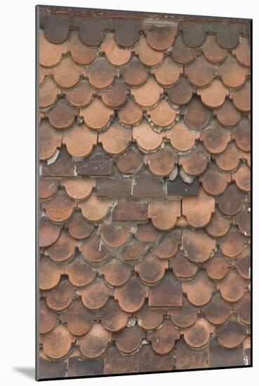 Detail of Domestic Roof Tiles-Natalie Tepper-Mounted Photo