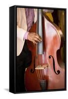 Detail of Double Bass Being Played by a Local Musician in Bar El Floridita-Lee Frost-Framed Stretched Canvas