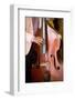 Detail of Double Bass Being Played by a Local Musician in Bar El Floridita-Lee Frost-Framed Photographic Print