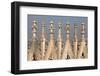 Detail of Duomo, Milan, Lombardy-Godong-Framed Photographic Print