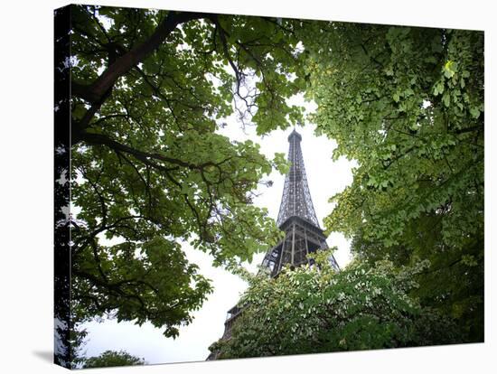 Detail of Eiffel Tower, Paris, France-Jim Zuckerman-Stretched Canvas