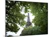 Detail of Eiffel Tower, Paris, France-Jim Zuckerman-Mounted Photographic Print