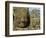 Detail of Face on Bayon Temple-Bob Krist-Framed Photographic Print