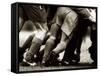 Detail of Feet of a Group of Rugby Players in a Scrum, Paris, France-null-Framed Stretched Canvas