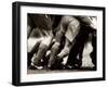 Detail of Feet of a Group of Rugby Players in a Scrum, Paris, France-null-Framed Photographic Print