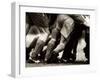 Detail of Feet of a Group of Rugby Players in a Scrum, Paris, France-null-Framed Photographic Print