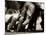 Detail of Feet of a Group of Rugby Players in a Scrum, Paris, France-null-Mounted Photographic Print