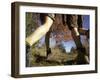 Detail of Feet of Couple Hiking, Woodstock, New York, USA-Chris Cole-Framed Photographic Print