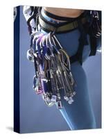 Detail of Female Rock Climber and Equipment-null-Stretched Canvas