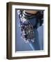 Detail of Female Rock Climber and Equipment-null-Framed Premium Photographic Print