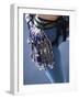 Detail of Female Rock Climber and Equipment-null-Framed Photographic Print