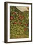 Detail of Flowers from Garden of Paradise, C.1415-null-Framed Giclee Print