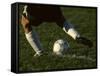Detail of Foot About to Kick a Soccer Ball-Paul Sutton-Framed Stretched Canvas