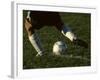 Detail of Foot About to Kick a Soccer Ball-Paul Sutton-Framed Photographic Print