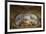 Detail of Frescoed Ceiling-Antonio de Dominici-Framed Giclee Print