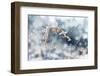 Detail of Frozen Grass on the Meadow during the Snow falling in Winter Landscape-null-Framed Photographic Print