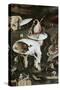 Detail of Garden of Earthly Delights, no.8, c.1505-Hieronymus Bosch-Stretched Canvas