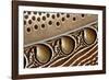 Detail of Great argus pheasant feather, Sabah, Borneo-Nick Garbutt-Framed Photographic Print