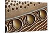 Detail of Great argus pheasant feather, Sabah, Borneo-Nick Garbutt-Stretched Canvas