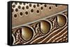 Detail of Great argus pheasant feather, Sabah, Borneo-Nick Garbutt-Framed Stretched Canvas