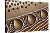 Detail of Great argus pheasant feather, Sabah, Borneo-Nick Garbutt-Stretched Canvas