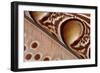 Detail of Great argus pheasant feather, Sabah, Borneo-Nick Garbutt-Framed Photographic Print