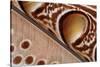 Detail of Great argus pheasant feather, Sabah, Borneo-Nick Garbutt-Stretched Canvas