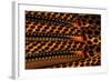 Detail of Great Argus Pheasant Feather-Darrell Gulin-Framed Photographic Print