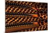Detail of Great Argus Pheasant Feather-Darrell Gulin-Mounted Photographic Print