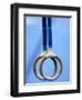 Detail of Gymnastics Rings, Athens, Greece-Steven Sutton-Framed Photographic Print