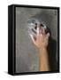 Detail of Hand on Wall Climbing Grip-null-Framed Stretched Canvas