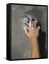 Detail of Hand on Wall Climbing Grip-null-Framed Stretched Canvas