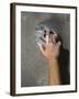 Detail of Hand on Wall Climbing Grip-null-Framed Photographic Print