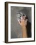 Detail of Hand on Wall Climbing Grip-null-Framed Photographic Print