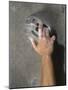 Detail of Hand on Wall Climbing Grip-null-Mounted Photographic Print
