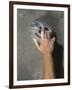 Detail of Hand on Wall Climbing Grip-null-Framed Photographic Print