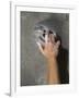 Detail of Hand on Wall Climbing Grip-null-Framed Photographic Print