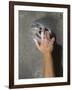 Detail of Hand on Wall Climbing Grip-null-Framed Photographic Print