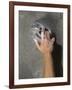 Detail of Hand on Wall Climbing Grip-null-Framed Photographic Print