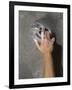 Detail of Hand on Wall Climbing Grip-null-Framed Photographic Print