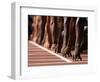 Detail of Hands at the Start of 100M Race-Steven Sutton-Framed Photographic Print