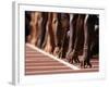 Detail of Hands at the Start of 100M Race-Steven Sutton-Framed Photographic Print