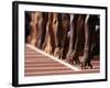 Detail of Hands at the Start of 100M Race-Steven Sutton-Framed Photographic Print