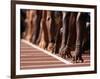 Detail of Hands at the Start of 100M Race-Steven Sutton-Framed Photographic Print