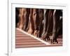 Detail of Hands at the Start of 100M Race-Steven Sutton-Framed Photographic Print